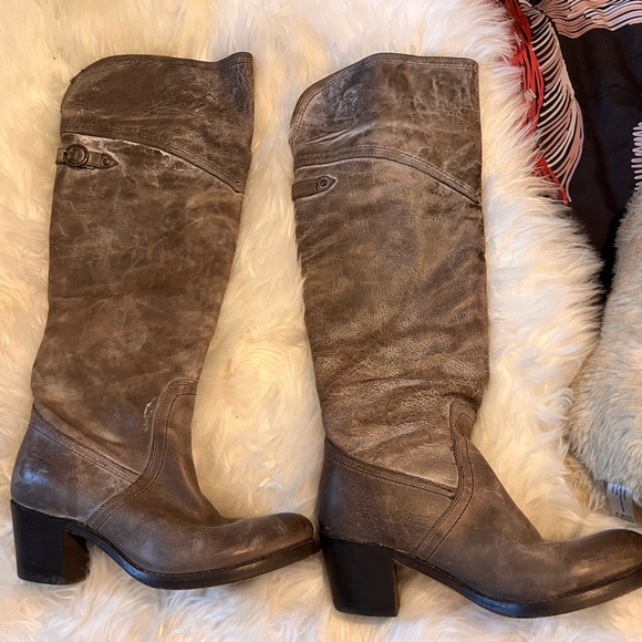 Greyish Fryes - Picture 1 of 5